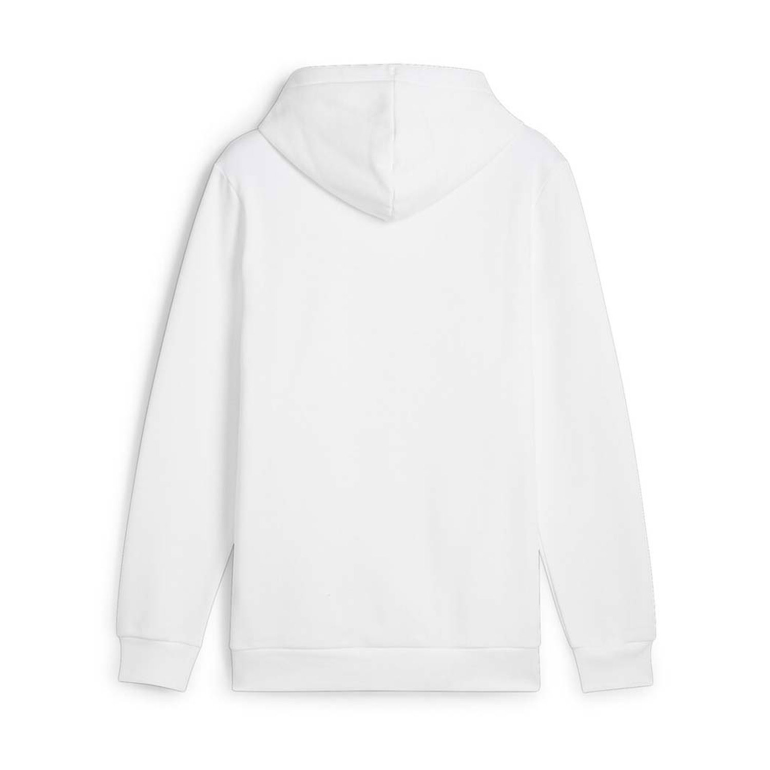 Puma M Essential Logo Lab Gradient Hoodie FL (681775-02) φωτογραφία