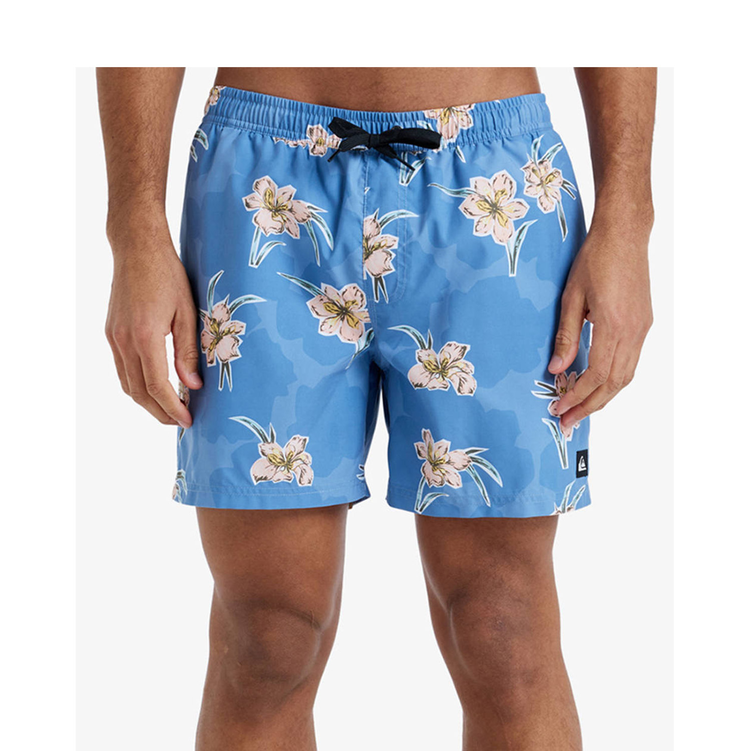 Quiksilver M Everyday Straight Volley 15 (EQYJV04121-BLQ7) φωτογραφία