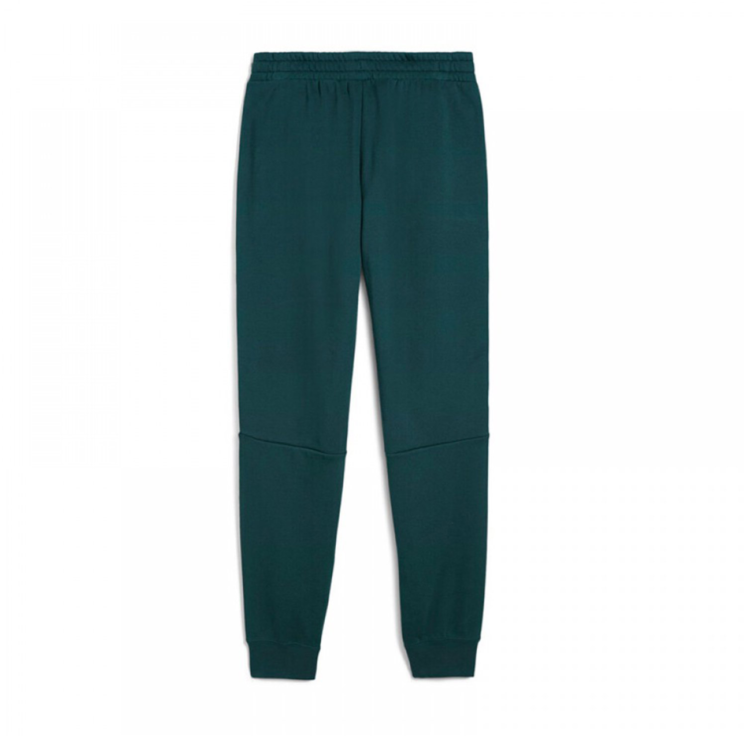 Puma M Ess Tape Sweatpants FL CL (684679-75) φωτογραφία