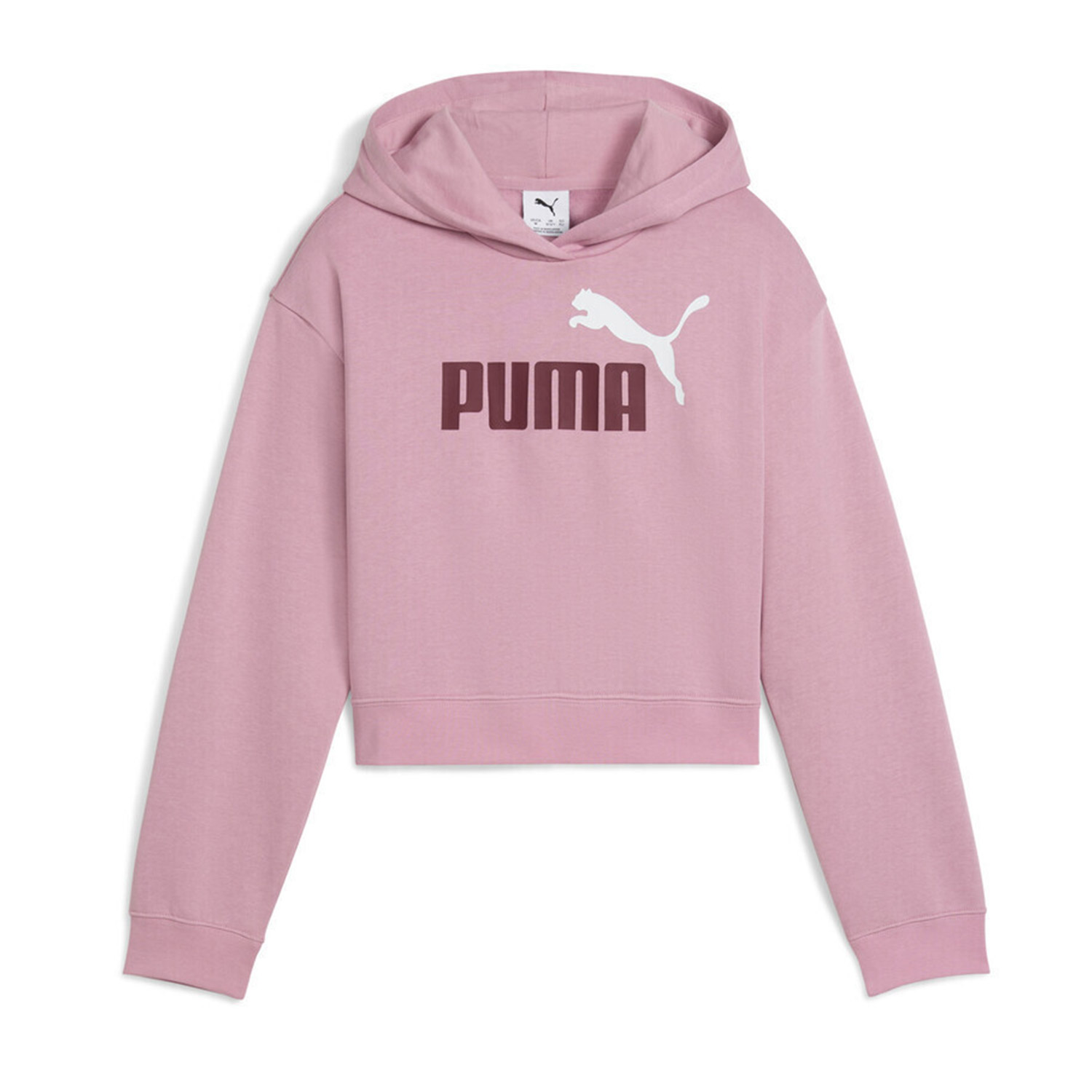 Puma Puma Kids ESS 2 Color No.1 Logo Short Lenght Hoodie FL G (690717-65)