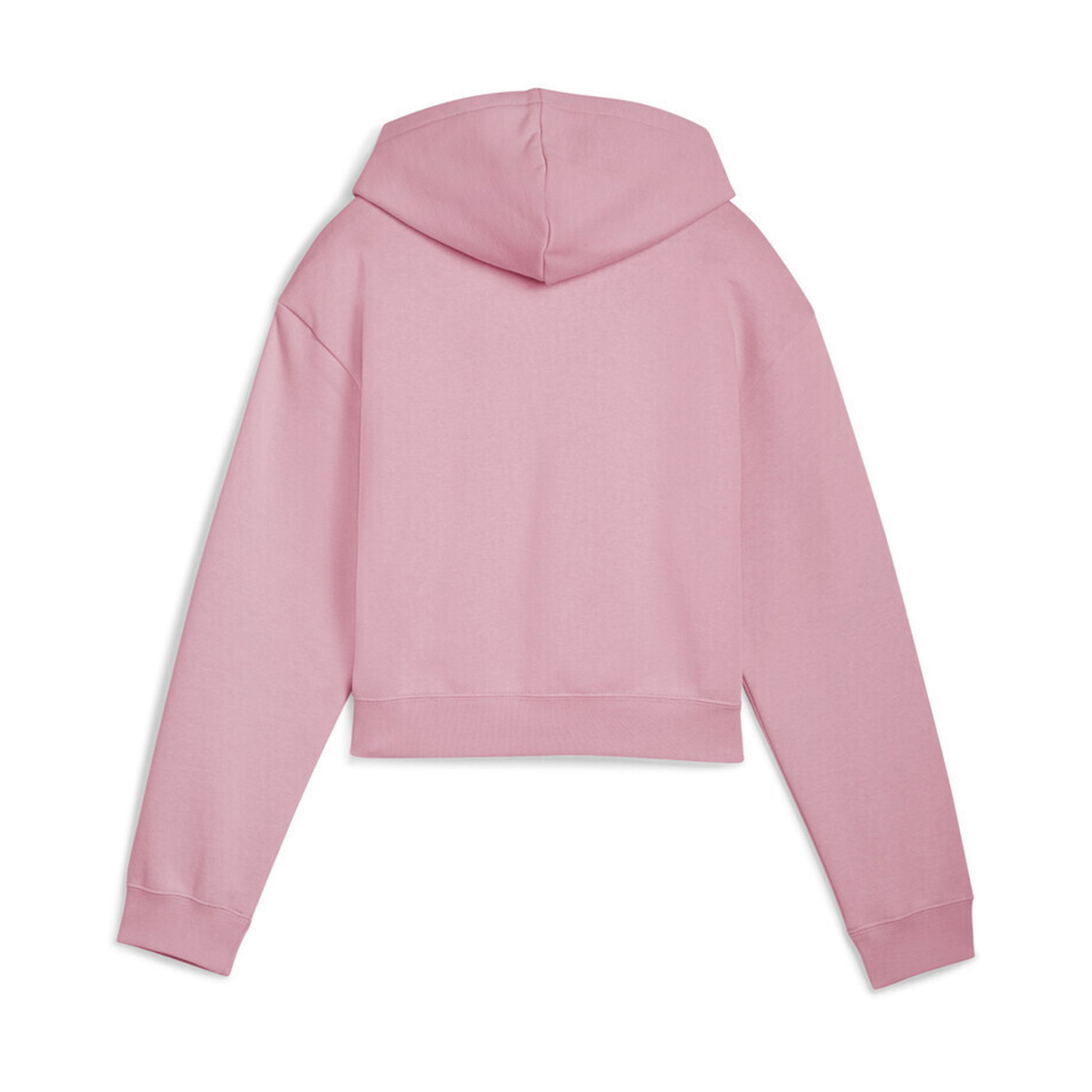 Puma Kids ESS 2 Color No.1 Logo Short Lenght Hoodie FL G (690717-65) φωτογραφία