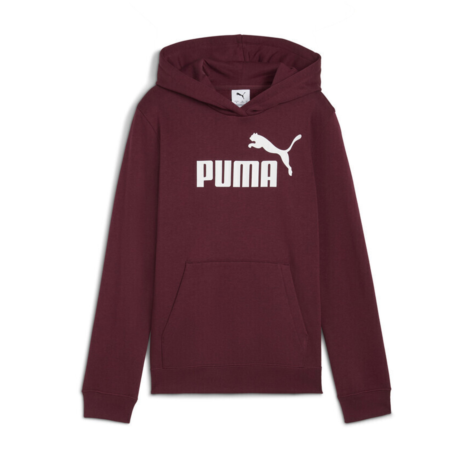 Puma Puma Kids ESS No.1 Logo Hoodie FL G (684896-96)