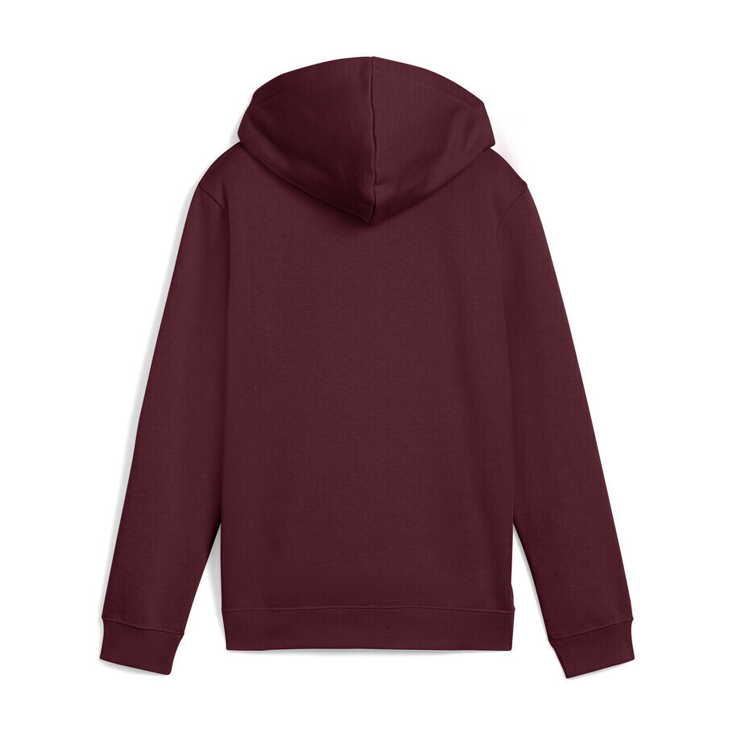 Puma Kids ESS No.1 Logo Hoodie FL G (684896-96) φωτογραφία