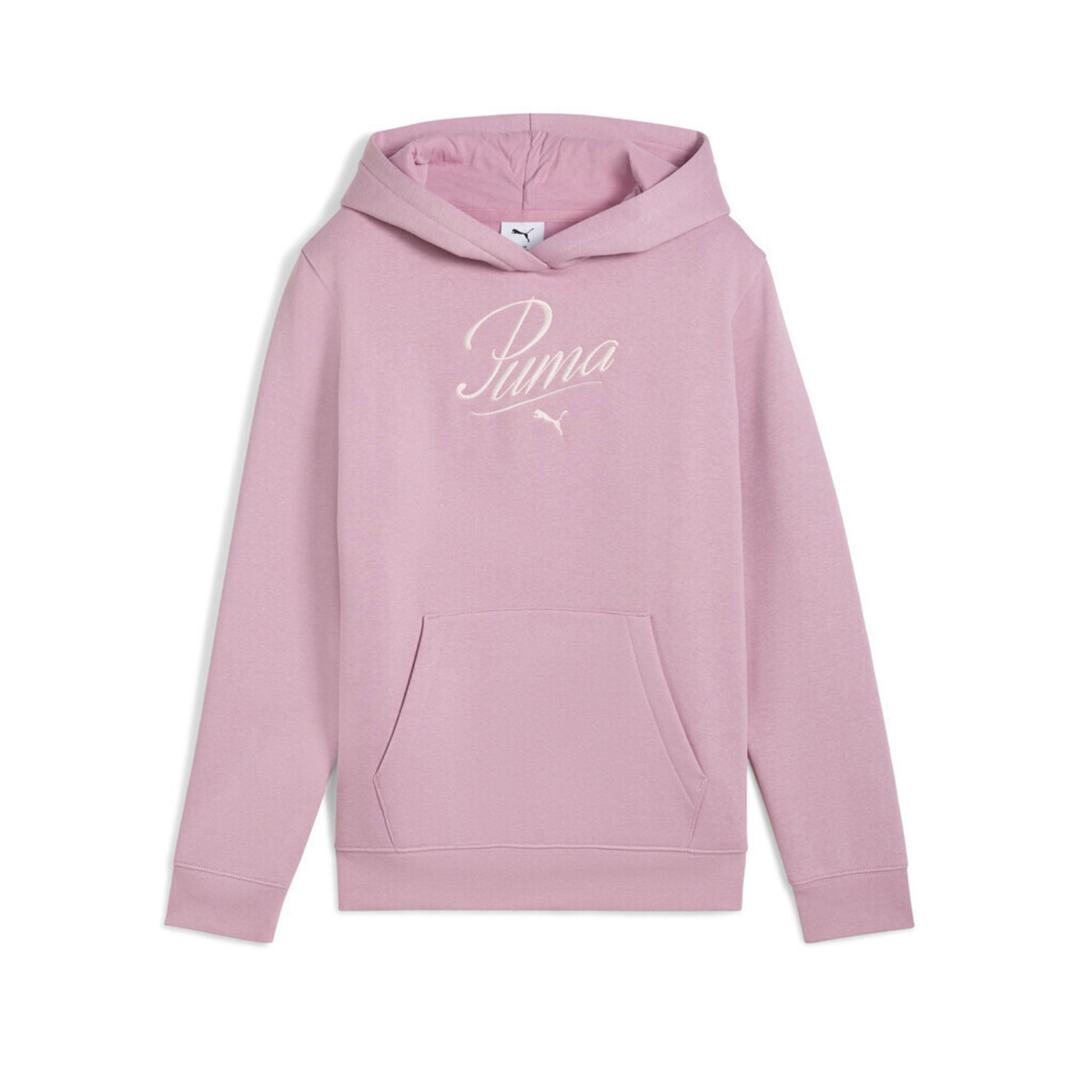 Puma Puma Kids ESS SCRIPT Hoodie FL G (688728-65)