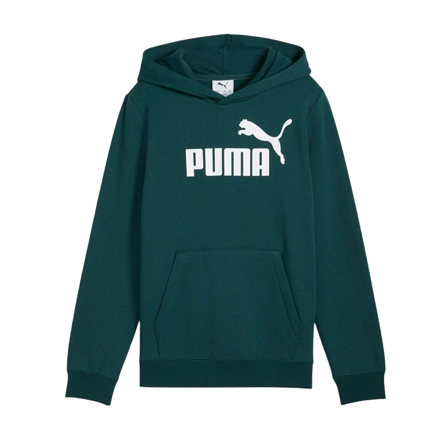 Puma Puma Kids Ess No.1 Logo Hoodie FL B (684908-75)