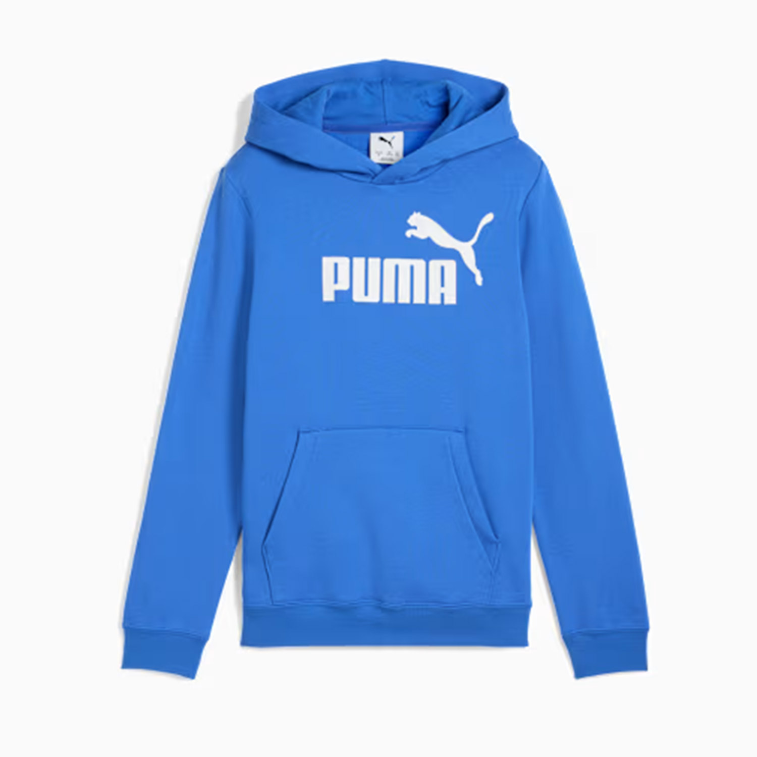 Puma Puma Kids Ess No.1 Logo Hoodie FL B (684908-13)