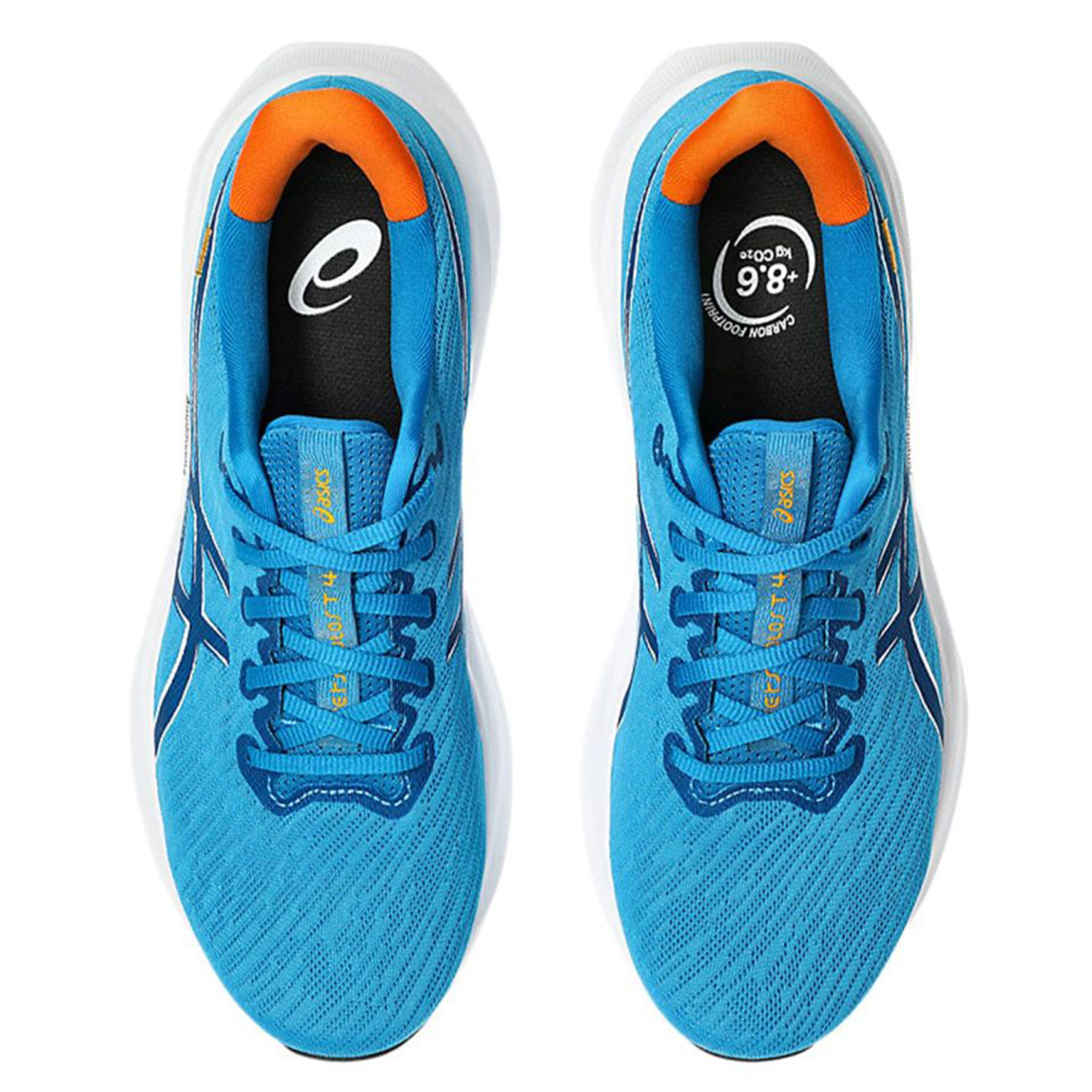 Men's Running Shoes Asics Blue