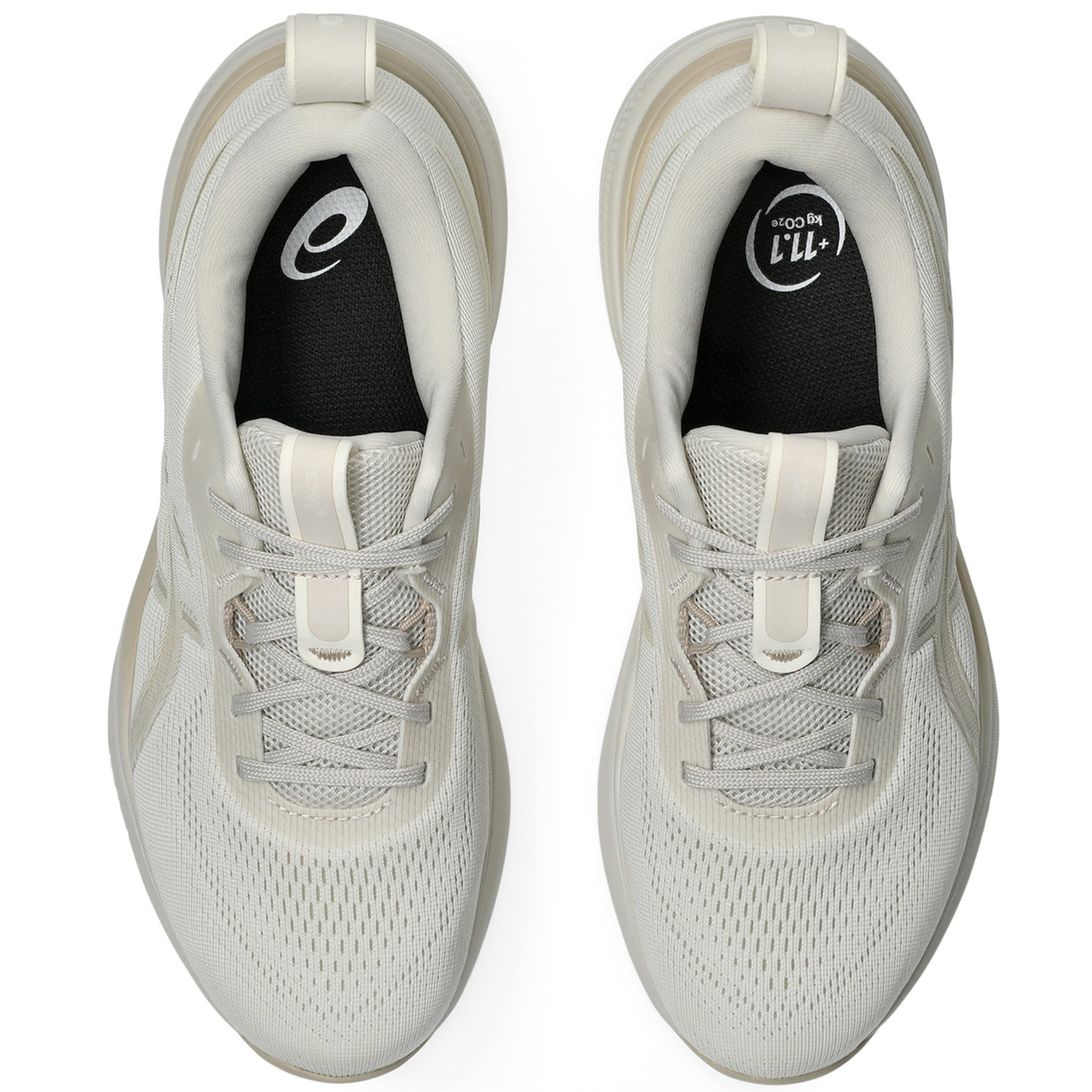 Asics W Gel-Pulse 17 (1012B930-250)